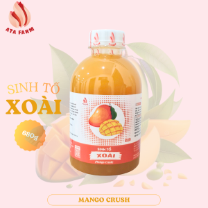 Sinh tố Xoài 680g